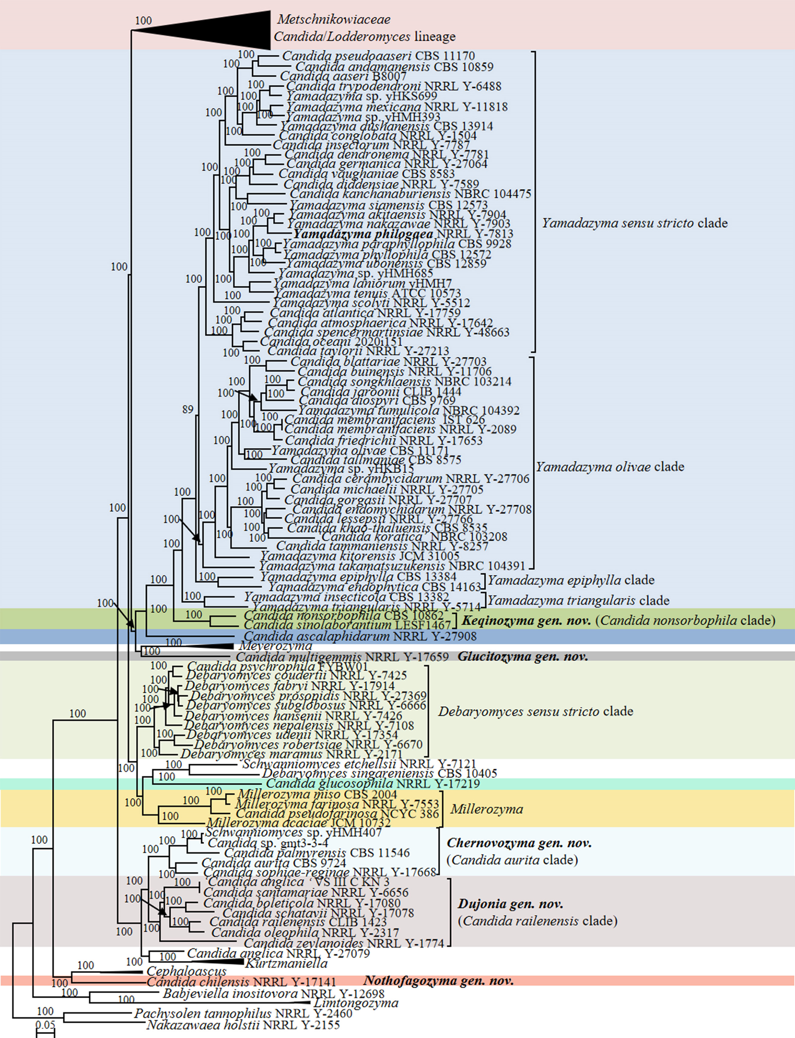 Figure 12